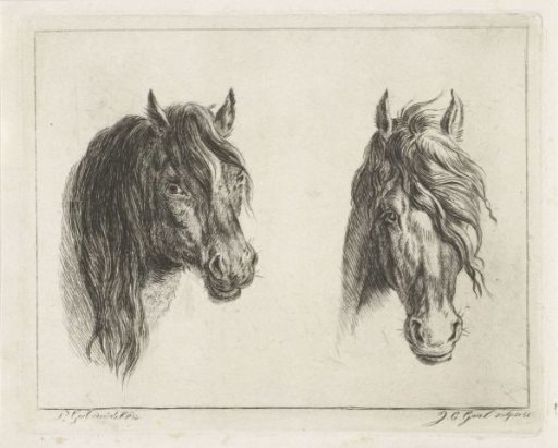 Two Horse Heads