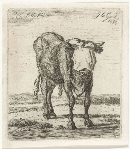 Blindfolded Bull