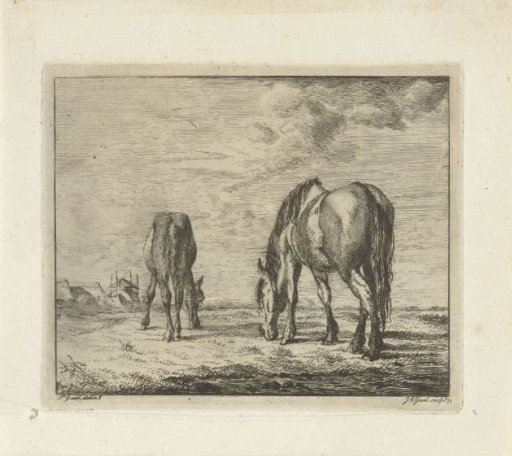 Two Grazing Horses