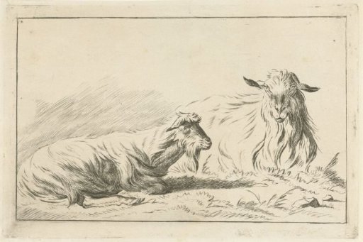 Two lying goats