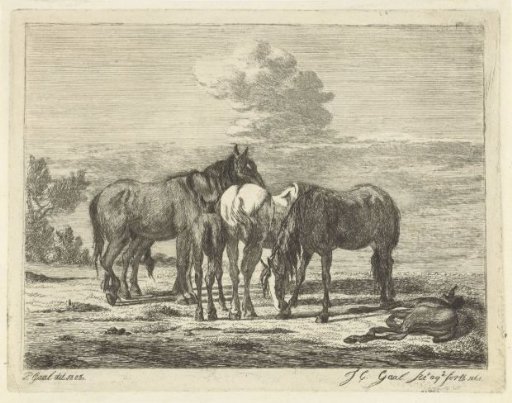 Four horses and two foals