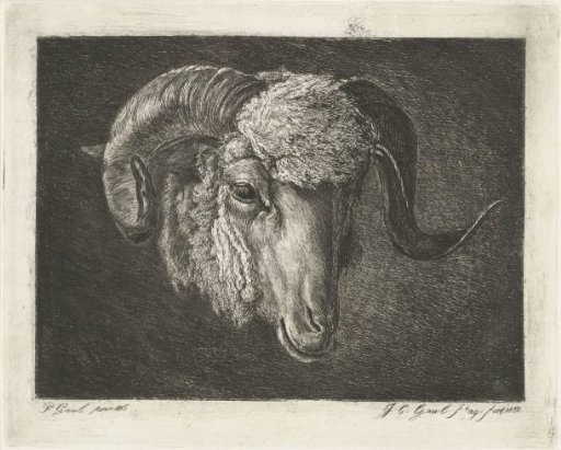 Head of a ram with curved horns