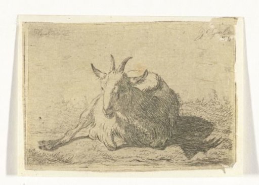 Recumbent goat, facing left