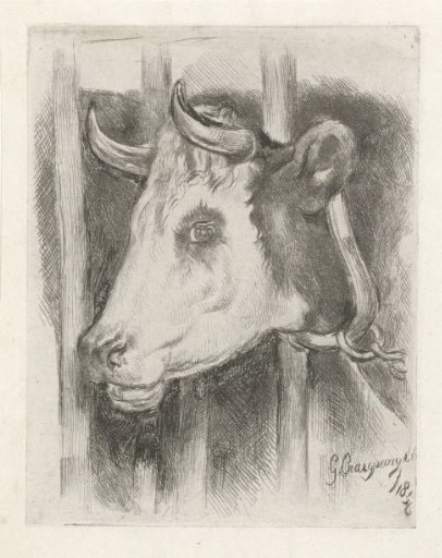 Head of a cow