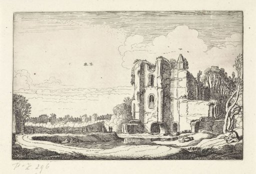 Ruin of Brederode Castle