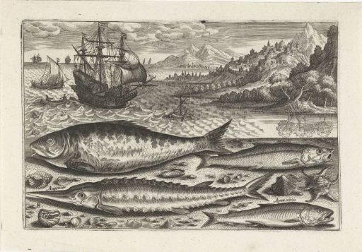 Four Fish on the Beach