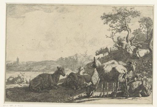 The shepherd