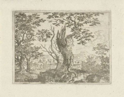Landscape with a broken tree