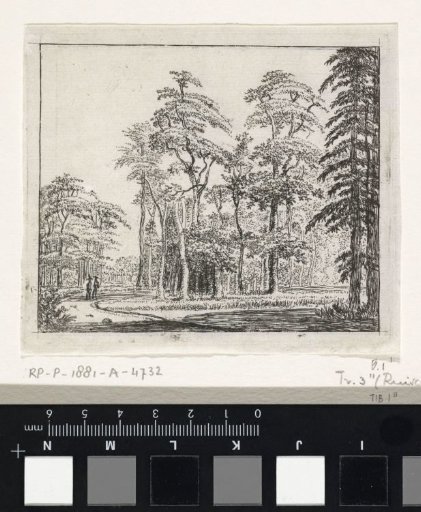 Two Figures on a Winding Path in a Forest