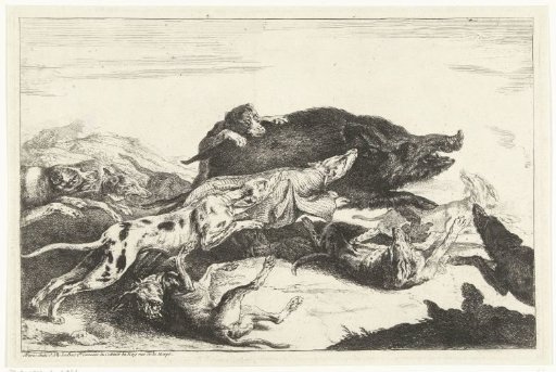 Dogs hunting a boar