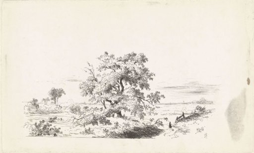 Landscape with large tree