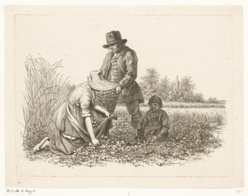 Potato diggers