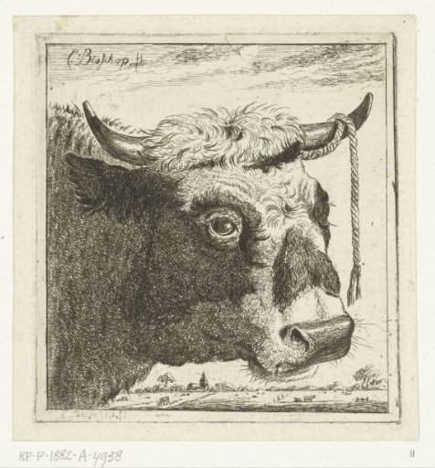 Head of a Bull with a Rope on its Horn
