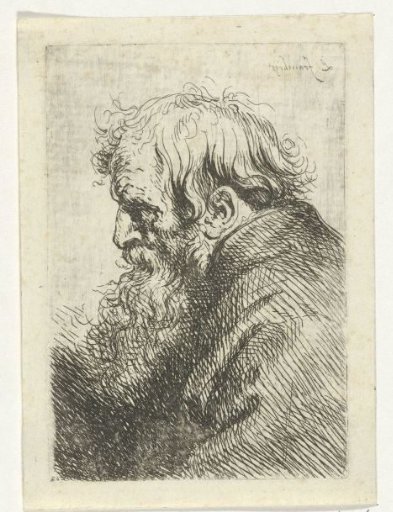 Head of an Old Man