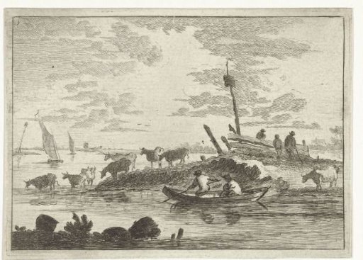 Cows by the water