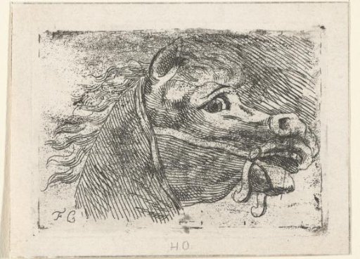 Head of a horse