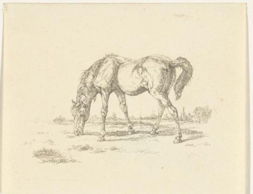 Grazing horse to the right