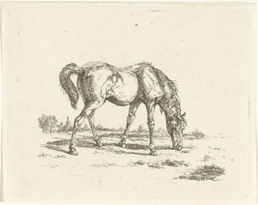 Grazing horse to the right