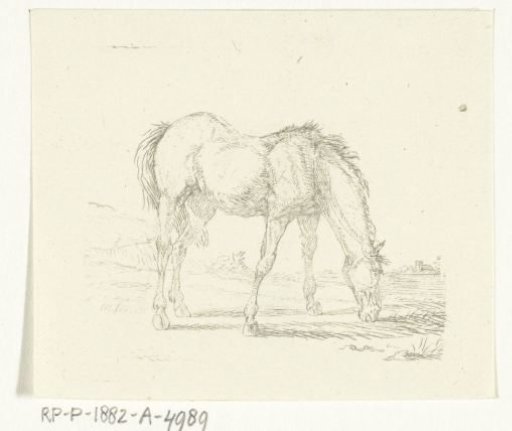 Grazing horse to the right