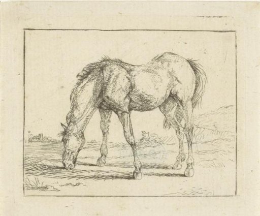 Grazing horse to the left