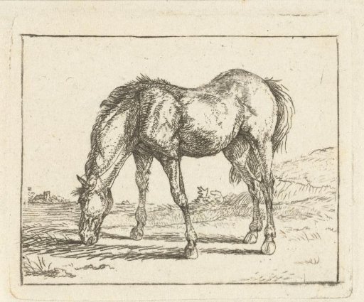 Grazing horse to the left