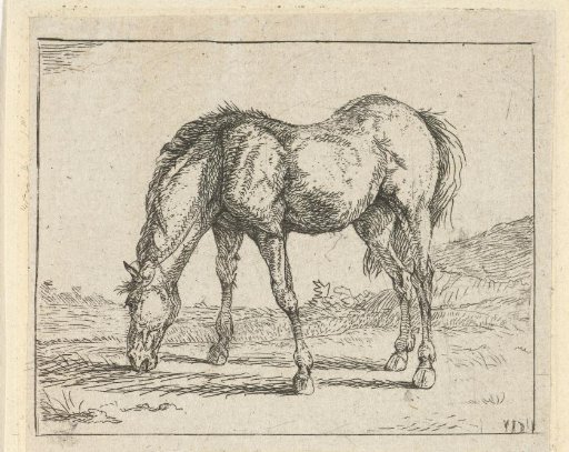 Grazing horse to the left