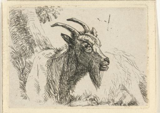 Reclining goat