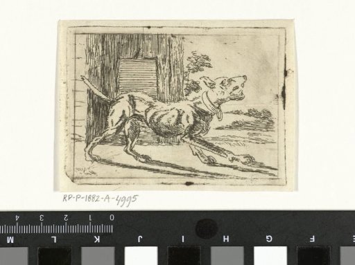 Barking dog by a kennel