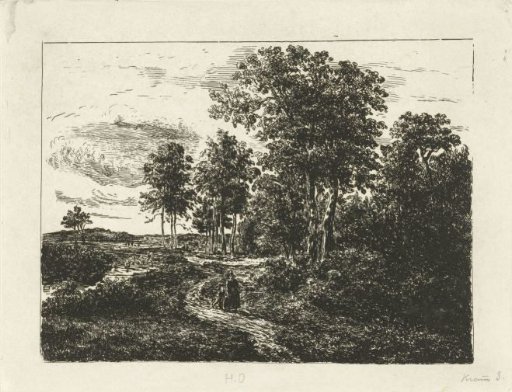 Forest landscape with woman and boy on their way