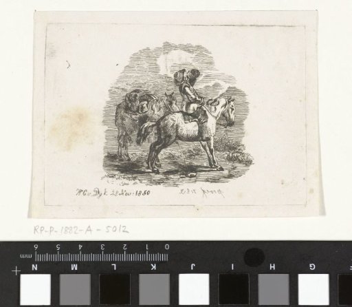 Drinking Rider on a Urinating Horse