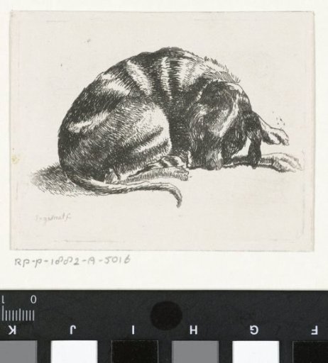 Reclining dog
