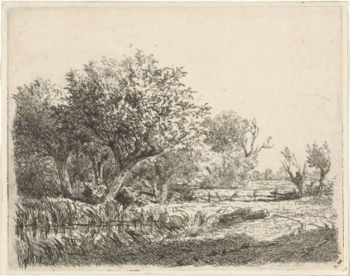 Willows by a pond