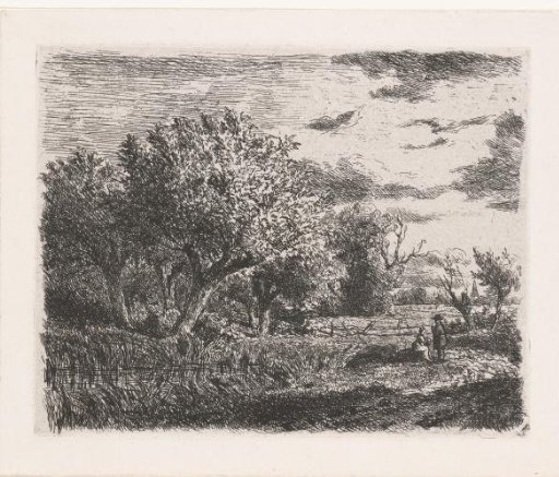 Willows by a pond
