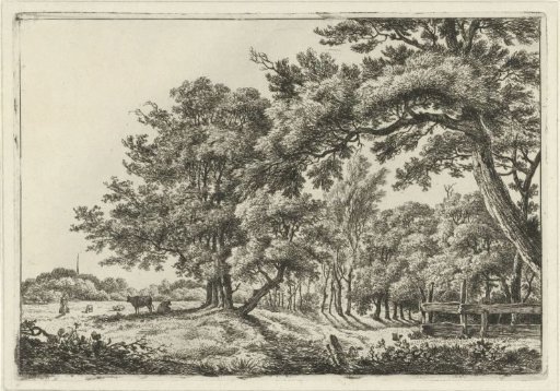 Landscape with two cows in the shade