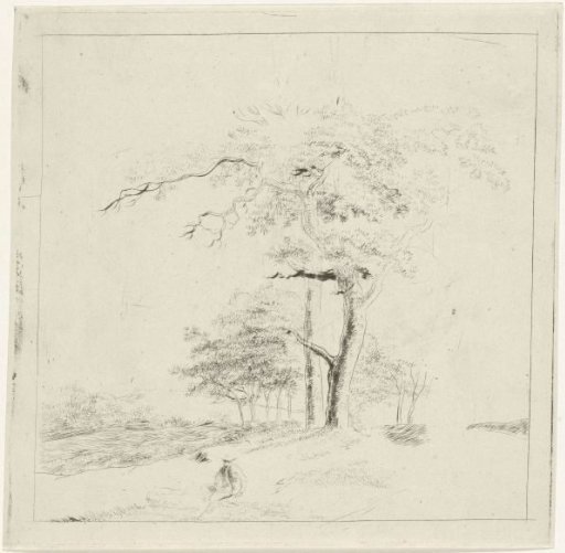 Study with man on tree trunk