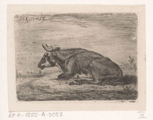 Recumbent cow