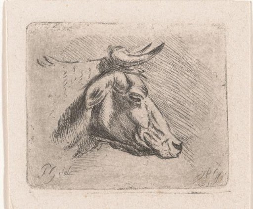 Head of a bull