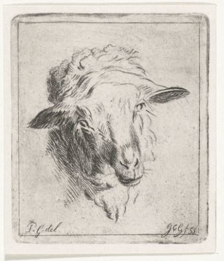 Head of a sheep