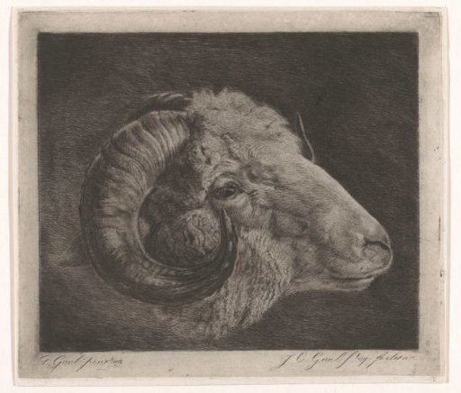 Head of a ram with horn curved towards the eye