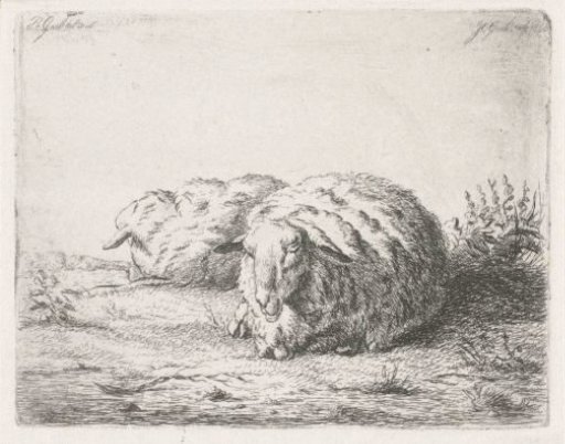 Two reclining sheep