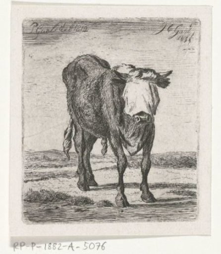 Blindfolded bull