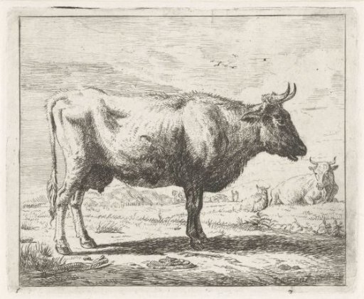 Standing cow, facing right