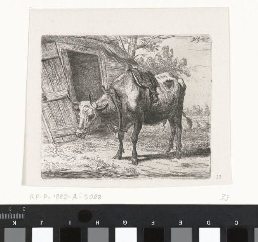 Ox with yoke in front of the stable