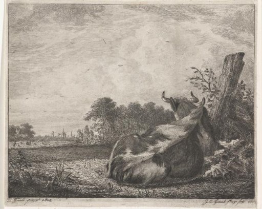 Piebald cow, lying by a wooden post