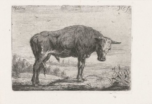 Standing bull