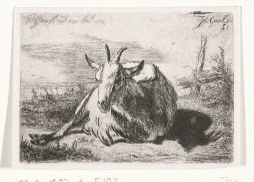 Recumbent goat, facing left