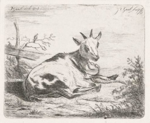 Recumbent goat, facing right