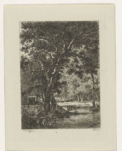 Wooded landscape