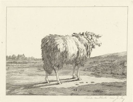 Sheep in a landscape
