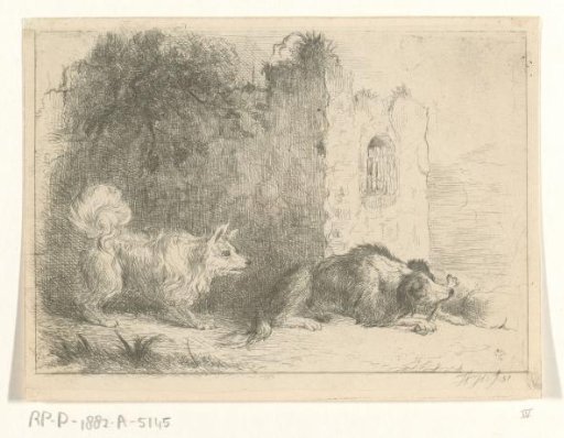 Two Dogs